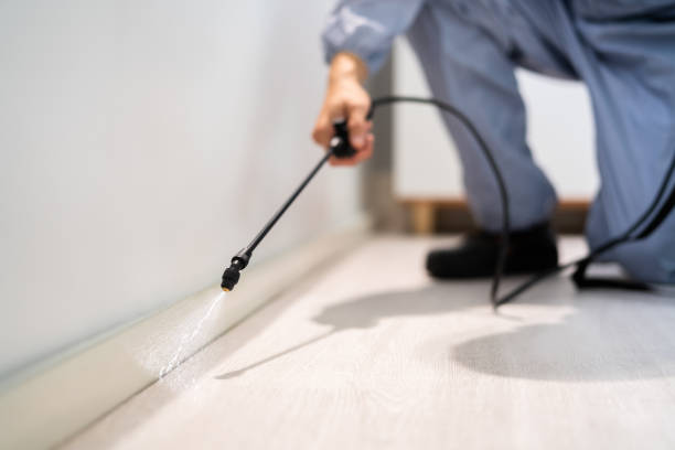 Bed Bug Pre-Treatment Preparation Assessment in Benavides