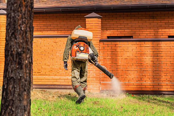 Bed Bug Clearance Verification and Documentation in Benavides
